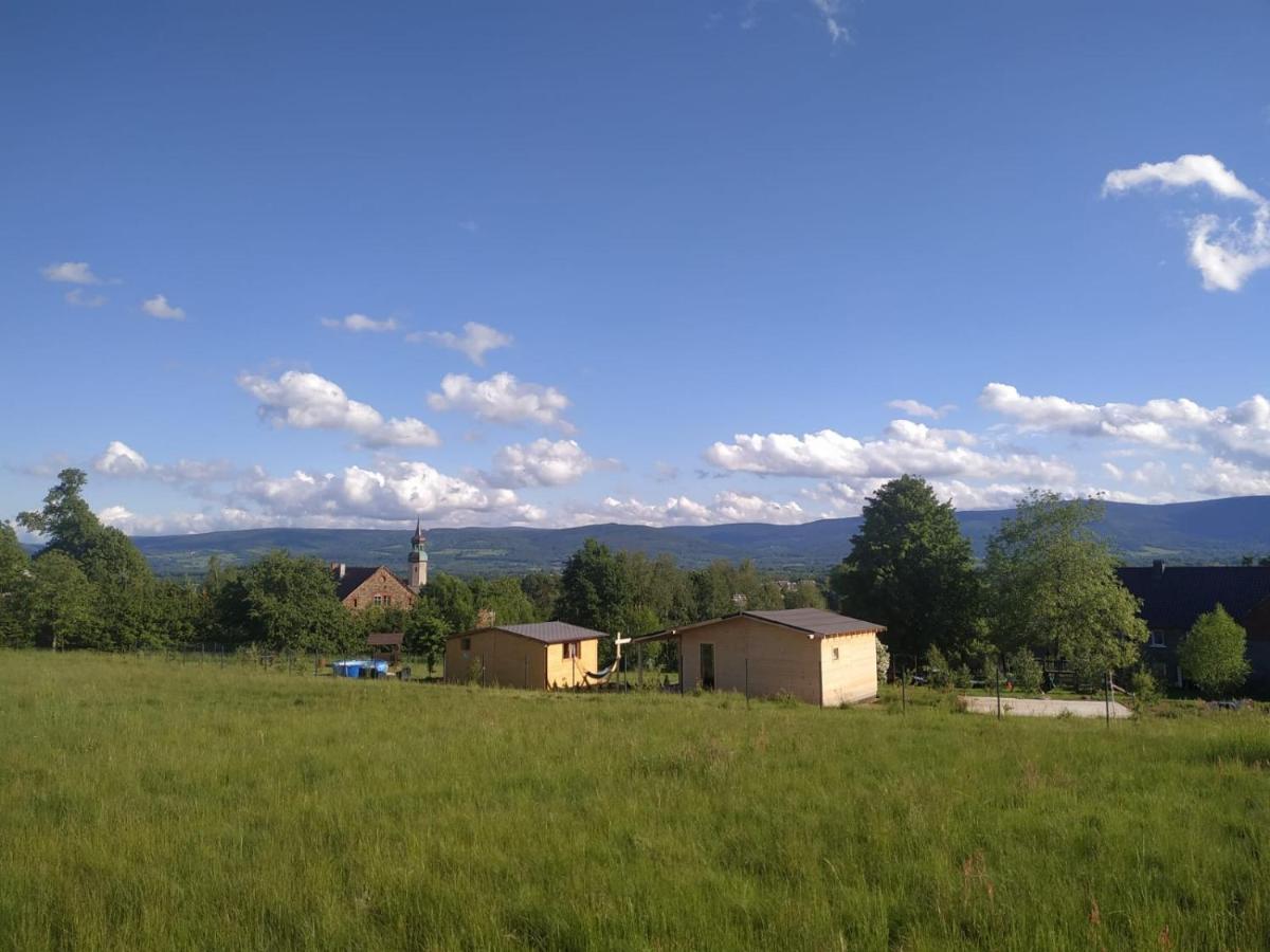 Domek W Gorach Izerskich 4 I 6 Osobowy, Agroturystyka, Zywe Zwierzeta, W Pelni Wyposazone, Plac Zabaw Dla Dzieci, Ognisko Z Kijkami I Rusztem, Ogrzewanie I Klimatyzacja, Latem Basen Mirsk Exterior photo