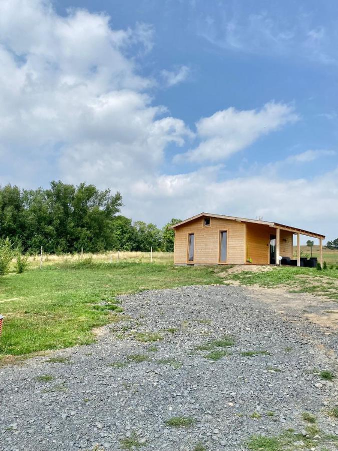 Domek W Gorach Izerskich 4 I 6 Osobowy, Agroturystyka, Zywe Zwierzeta, W Pelni Wyposazone, Plac Zabaw Dla Dzieci, Ognisko Z Kijkami I Rusztem, Ogrzewanie I Klimatyzacja, Latem Basen Mirsk Exterior photo