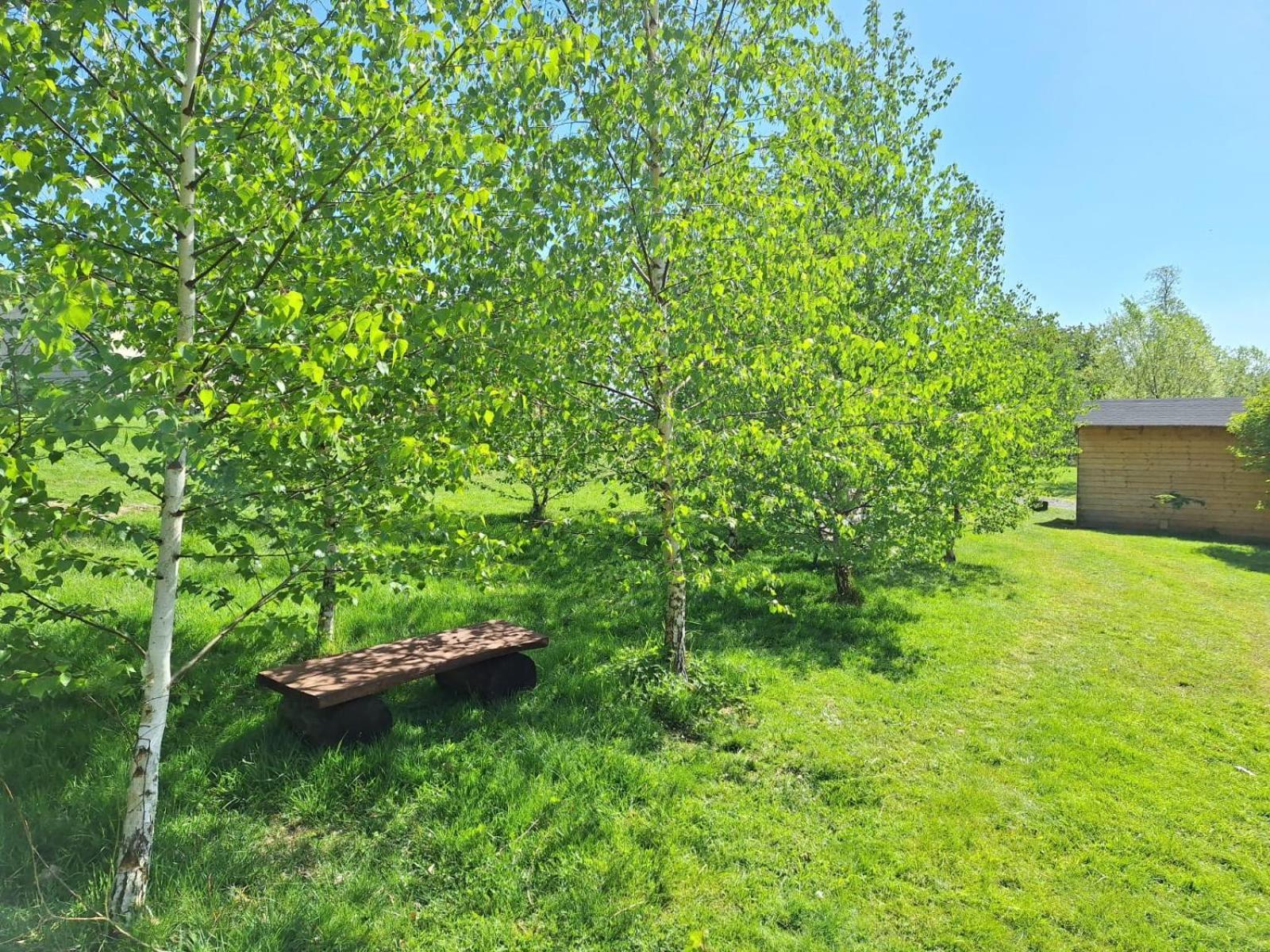 Domek W Gorach Izerskich 4 I 6 Osobowy, Agroturystyka, Zywe Zwierzeta, W Pelni Wyposazone, Plac Zabaw Dla Dzieci, Ognisko Z Kijkami I Rusztem, Ogrzewanie I Klimatyzacja, Latem Basen Mirsk Exterior photo